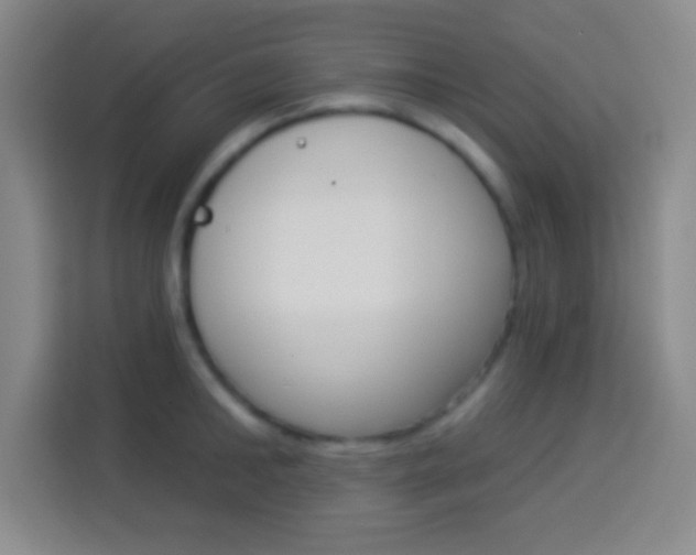 X0000114180902200910081131