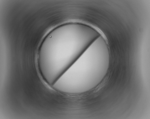 X0000114180903200910081131