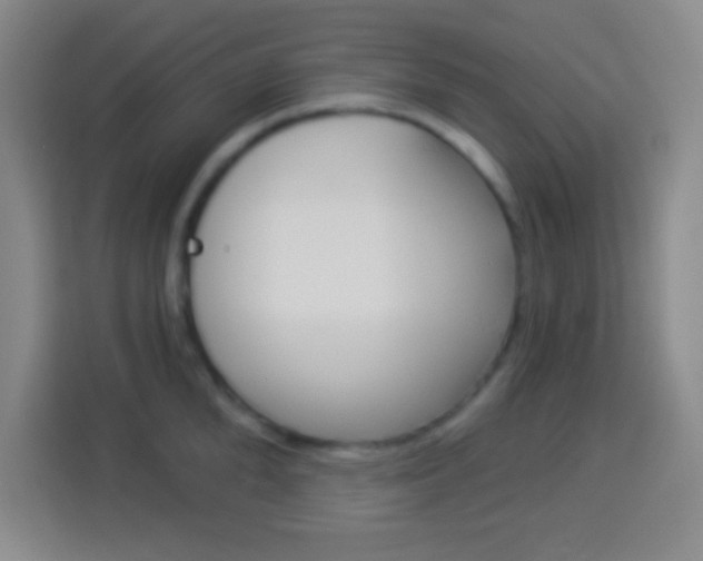 X0000114180904200910081131