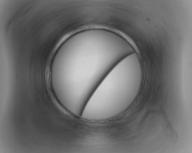 X0000114180911200910081131