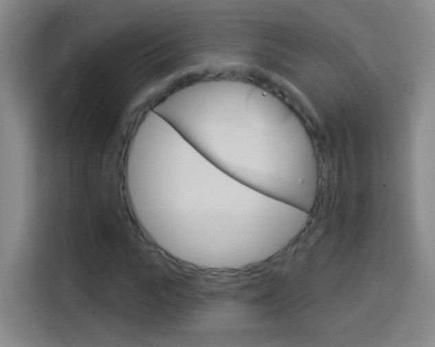 X0000114180919200910081130