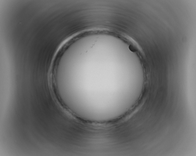 X0000114180928200910081130