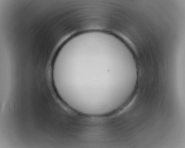 X0000114180933200910081130