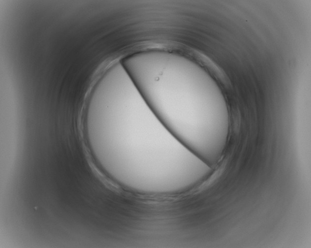 X0000114180938200910081130