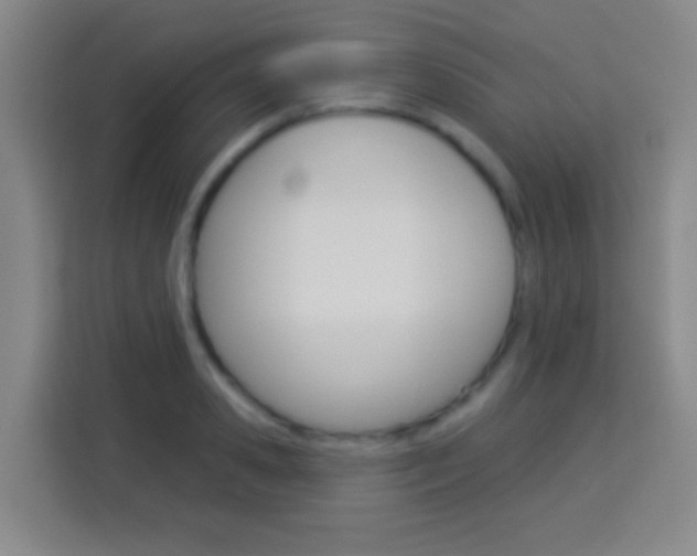 X0000114180941200910081130