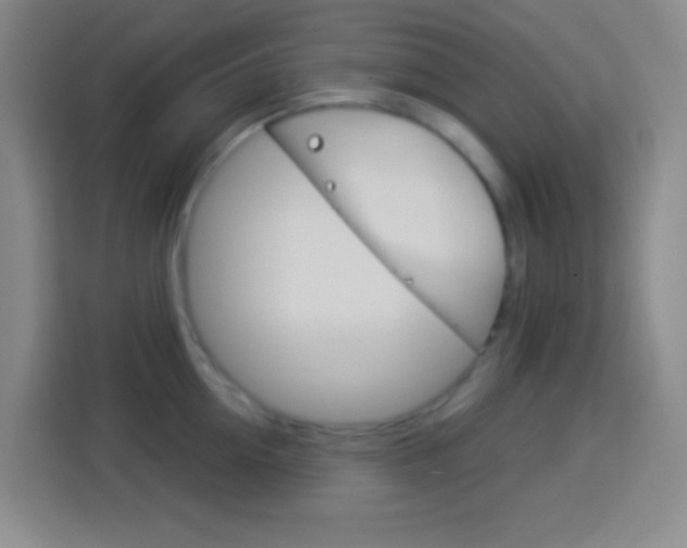 X0000114180954200910081131