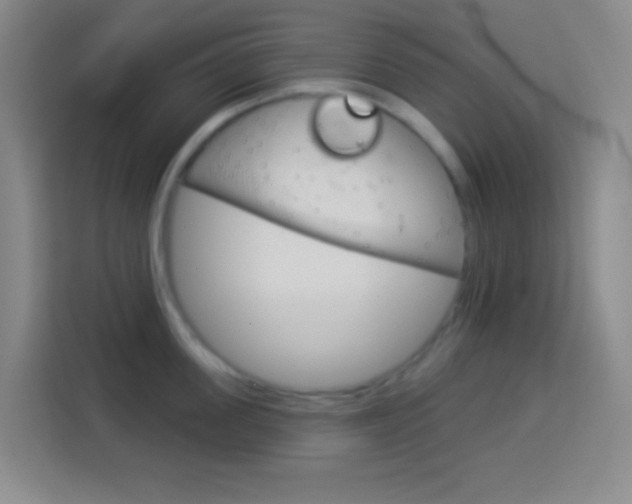 X0000114180955200910081131