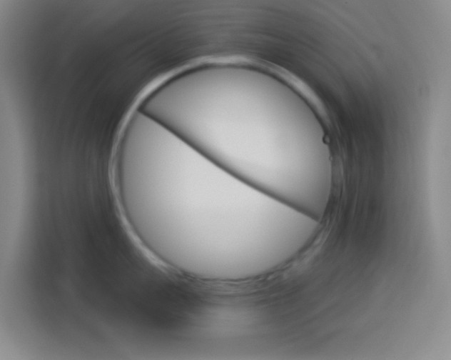 X0000114180959200910081131