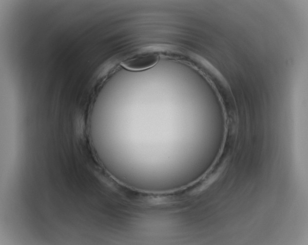 X0000114180969200910081130