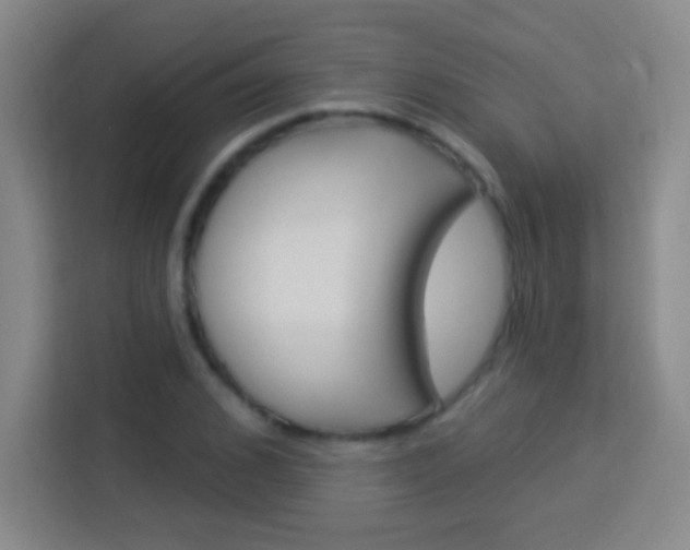 X0000114180976200910081130