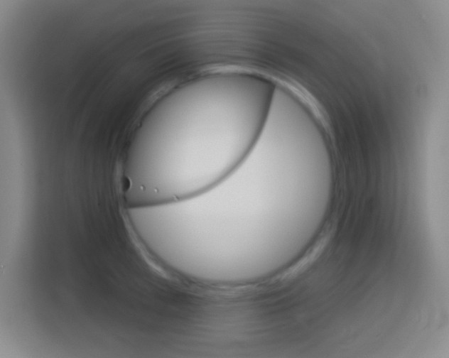X0000114180993200910081130