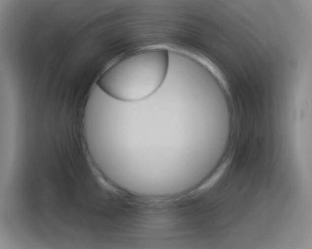 X0000114181001200910081129