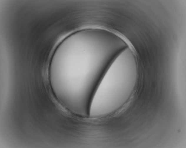 X0000114181004200910081129