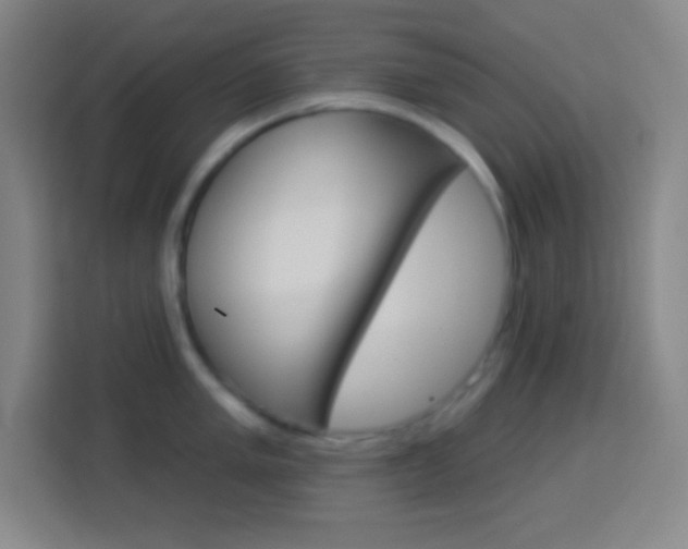 X0000114181005200910081129
