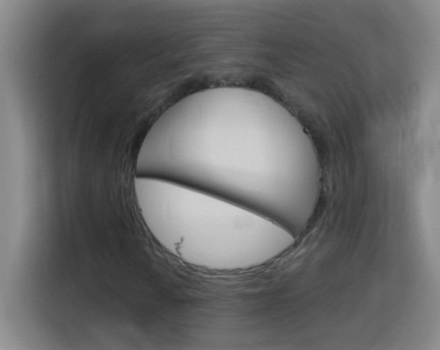 X0000114181010200910081129