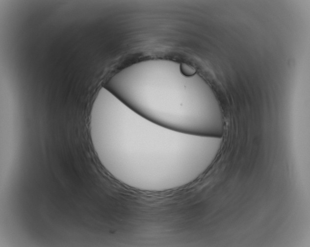 X0000114181012200910081129