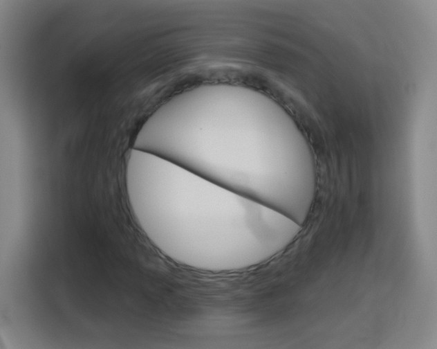 X0000114181013200910081129