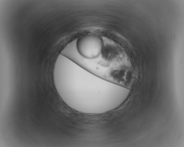 X0000114181014200910081129