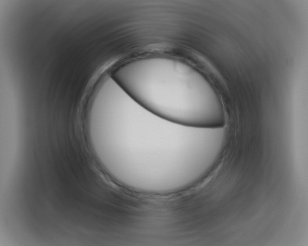 X0000114181018200910081129