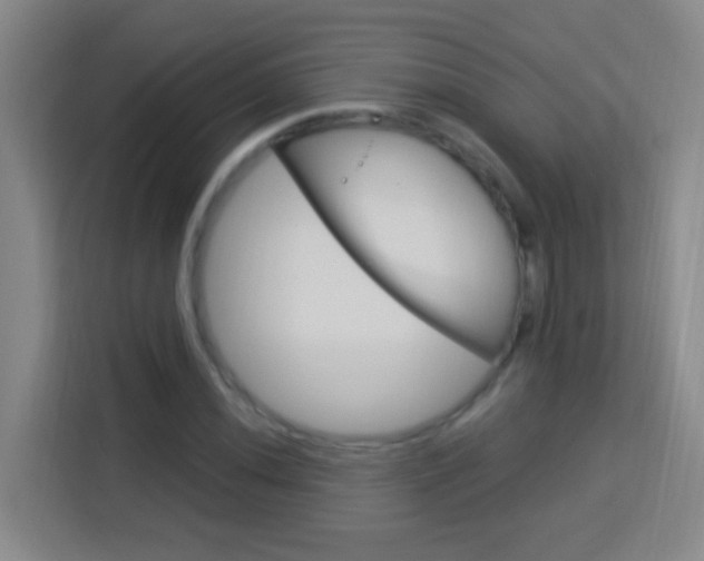 X0000114181020200910081129