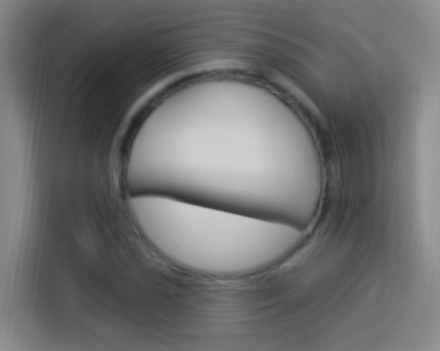 X0000114181021200910081129