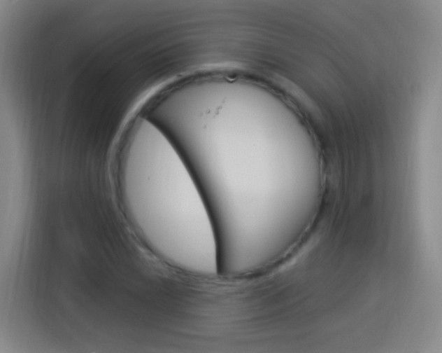 X0000114181022200910081129