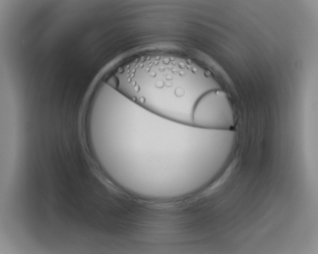 X0000114181029200910081129