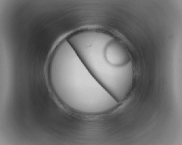 X0000114181030200910081129