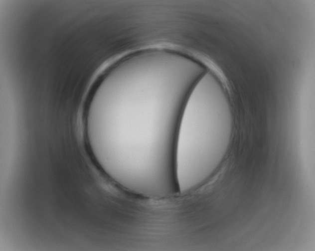 X0000114181032200910081129