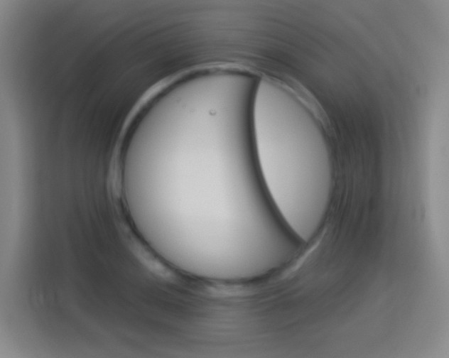 X0000114181036200910081129