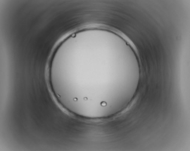X0000114181053200910081129