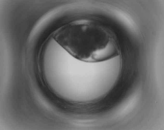 X0000114181054200910081129