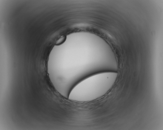 X0000114181062200910081129
