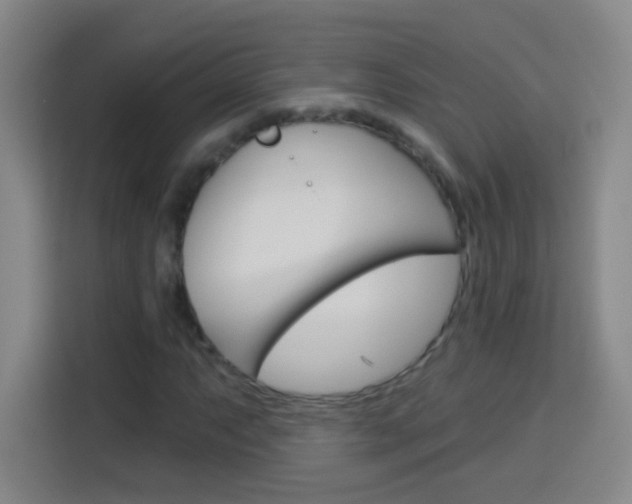 X0000114181063200910081129