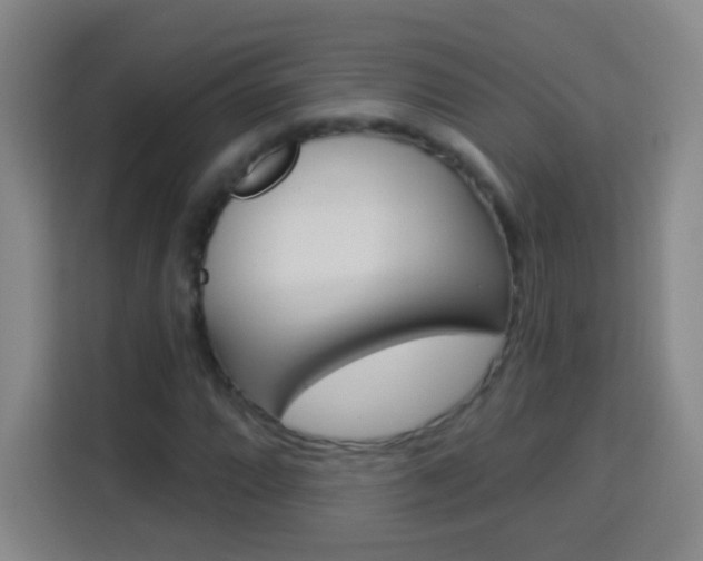X0000114181064200910081129