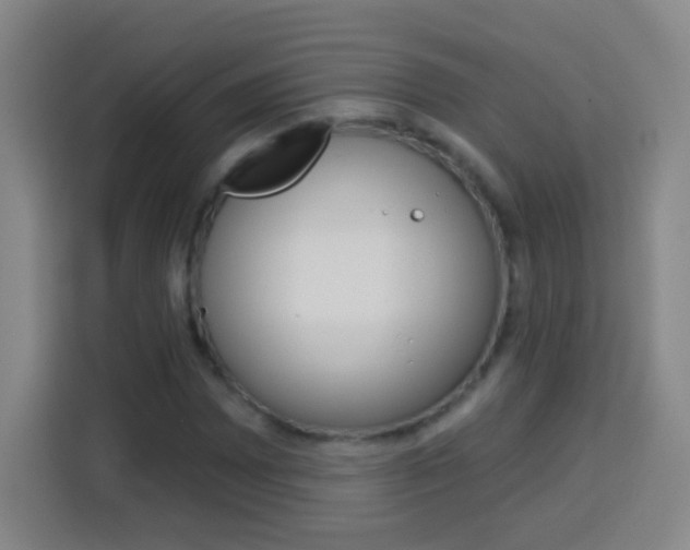 X0000114181065200910081129