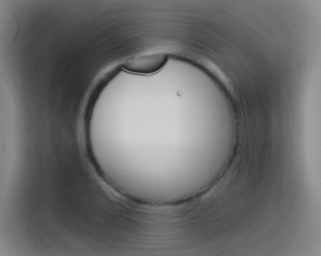 X0000114181072200910081129