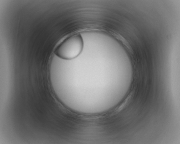 X0000114181081200910081128
