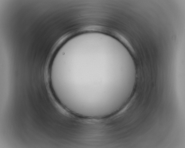 X0000114181082200910081128