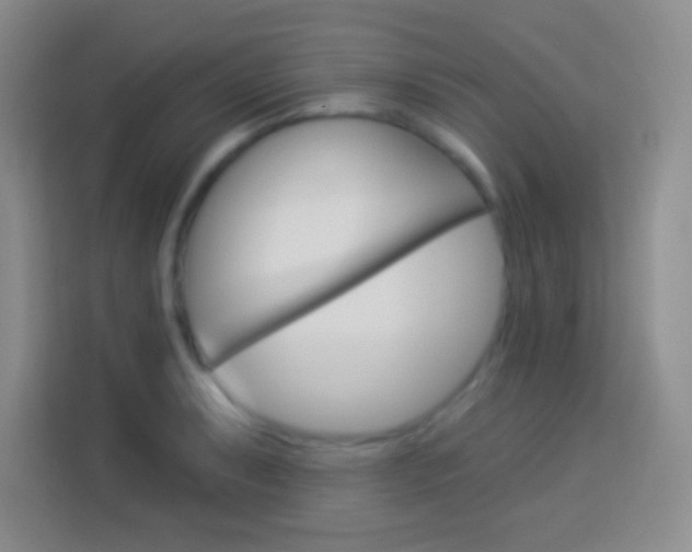 X0000114181087200910081128