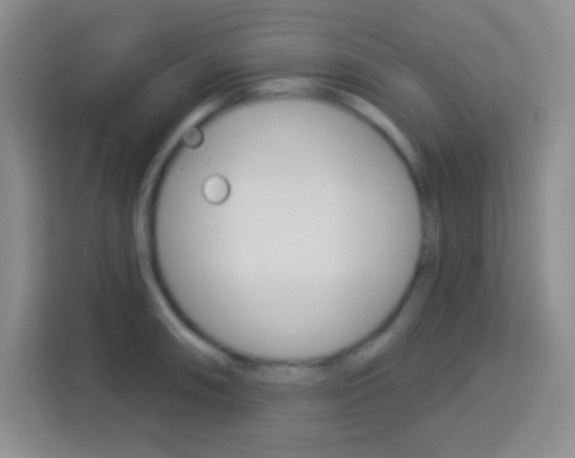 X0000114181090200910081128