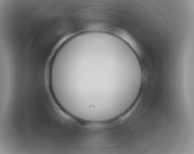 X0000114181094200910081128