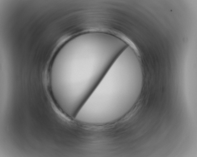 X0000114181095200910081128