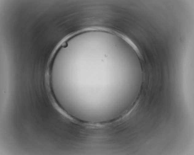 X0000114181100200910081128