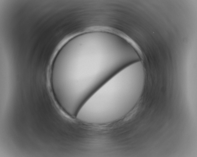 X0000114181102200910081128