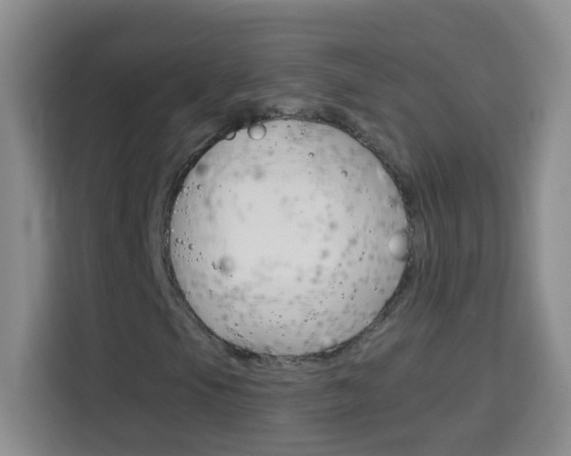 X0000114181105200910081127