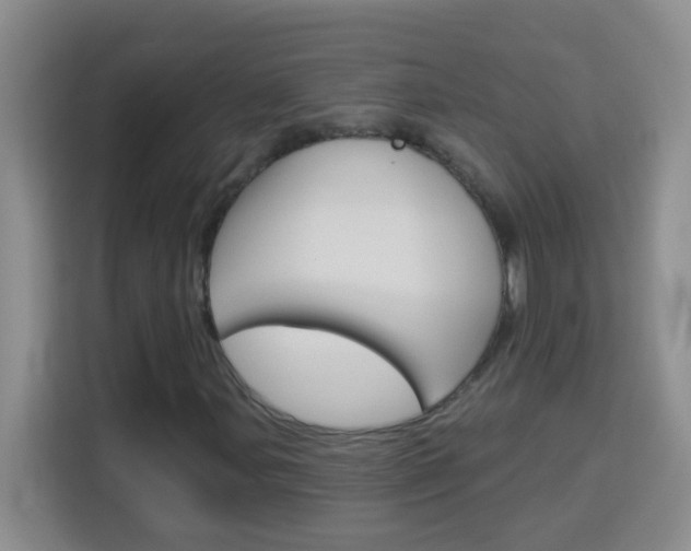 X0000114181107200910081128