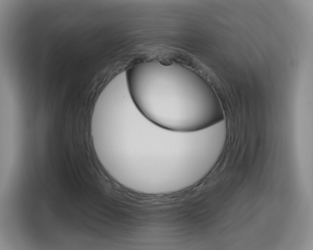 X0000114181108200910081128