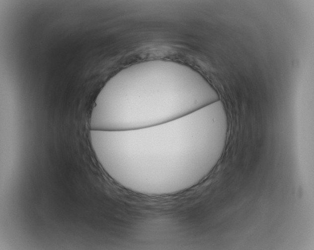 X0000114181109200910081128