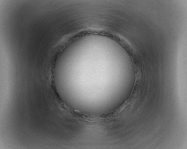 X0000114181110200910081128